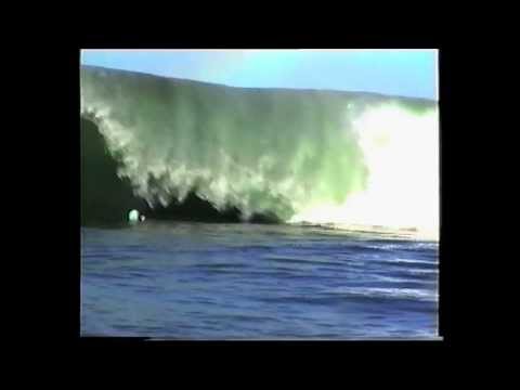 RUSH shark island challenge