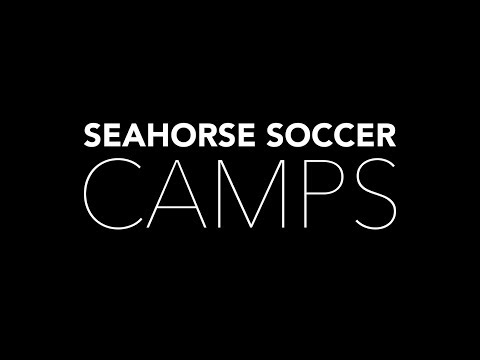 download lagu mp3 mp4 Camp Seahorse, download lagu Camp Seahorse gratis, unduh video klip Camp Seahorse