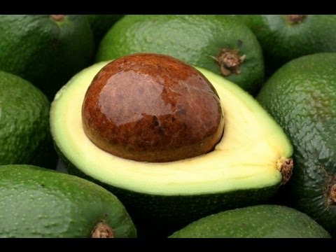 Electrocado - Haas to be Hass [Visualization]