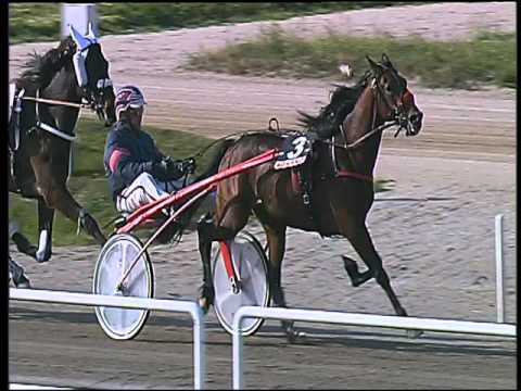 Trotto 11/03/2016 - 2° corsa