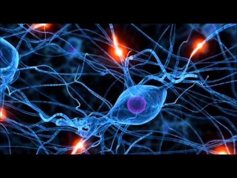 Potenziamento della Memoria (Memory Learning)