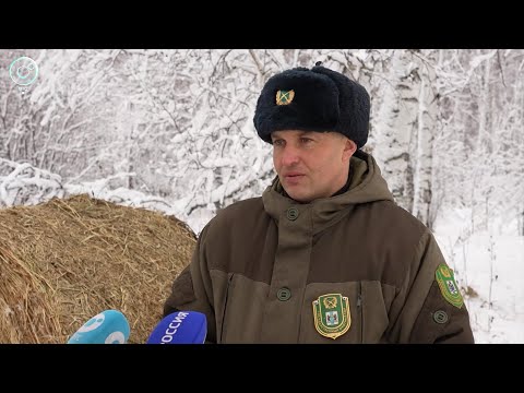 НОВОСТИ в 20:30 – 21 ноября 2025