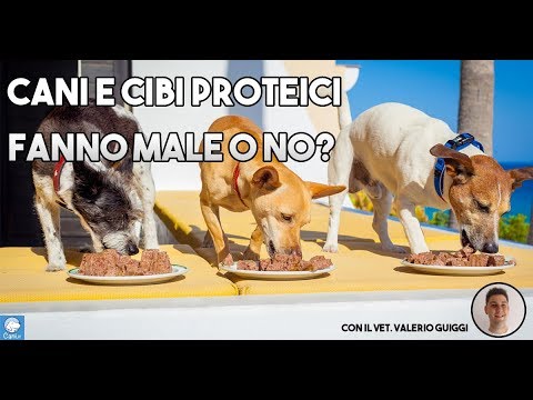 Aumento della pressione dovuto al collo osteoartrite Operazione di sostituzione delle articolazioni in Saratov