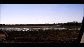preview picture of video 'LA GRULLA,TX IN 8 MINUTES'