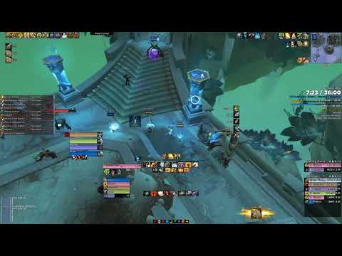 The Necrotic Wake +18 Protection Paladin Gameplay