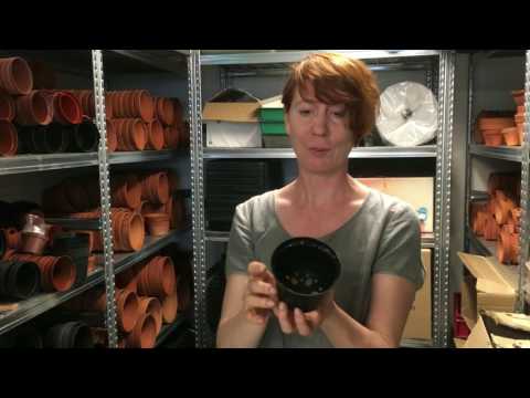 Odla chili med Anna & Ellen - del 3 Chiliskolan . Jord , näring och krukor