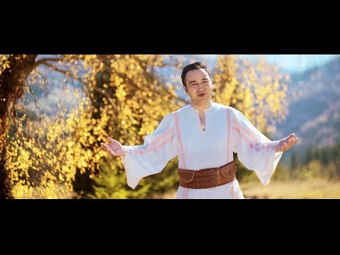 Georgian Birceanu - Se scutura pomul vietii