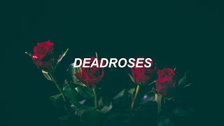 Blackbear - Deadroses (Español)
