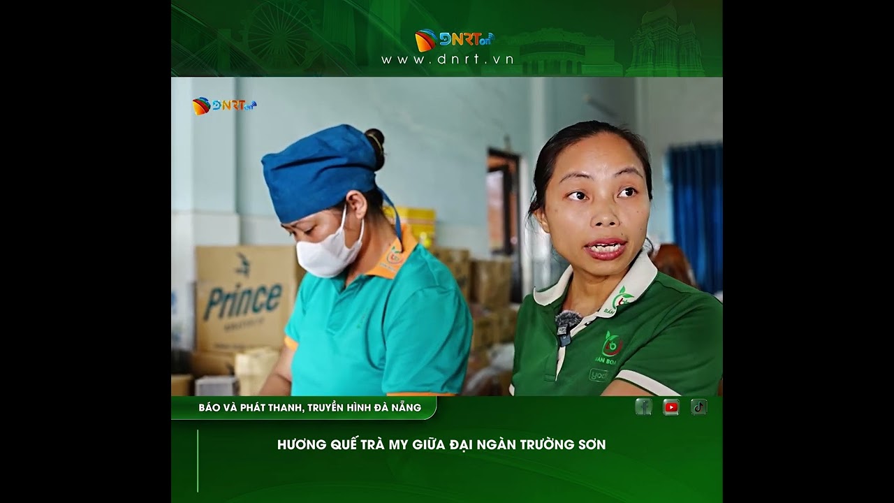 HƯƠNG QUẾ TRÀ MY GIỮA ĐẠI NGÀN TRƯỜNG SƠN