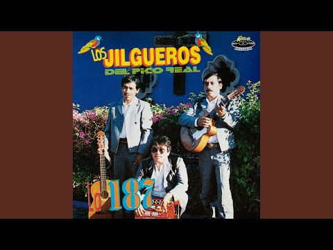 Los 4 Amigos Valientes