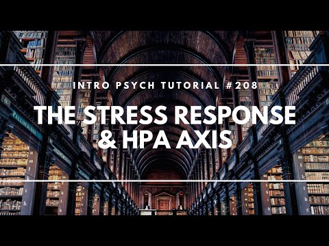 Introduction to Health Psychology Intro Psych Tutorial 206