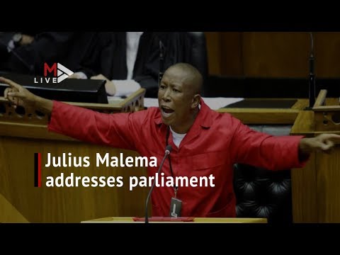 Five key takeouts from Julius Malema's Mugabe motion in parliament