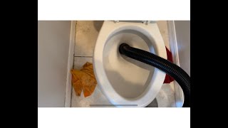 How to remove a toy out of a toilet