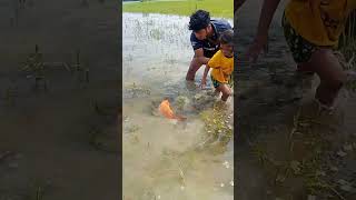 Download lagu 👍🐬 #fishing #fish #colonelkkjϟ mp3