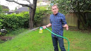 Nematodes for Lawn Grubs - NIC’s How to Apply -  Revised