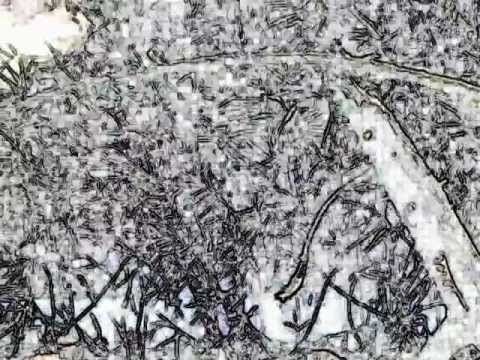 Ma girouette mobile sur la plage...wmv