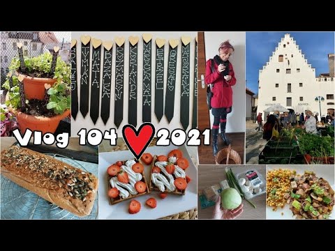 Vlog 104/21 - bylinkový