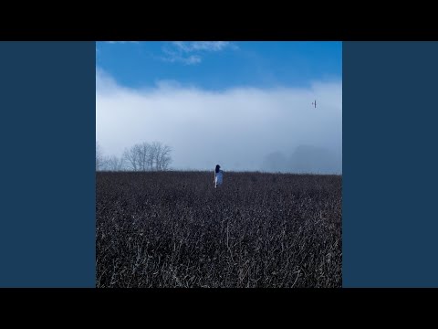video frame placeholder