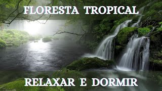 CASCATA ENEVOADA NA FLORESTA TROPICAL - RELAXAR E DORMIR