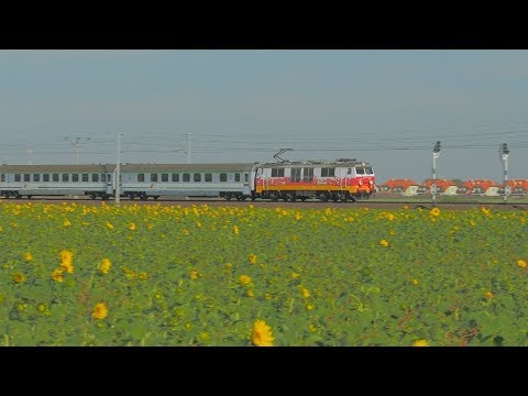 EP09-046 "Niepodległa"