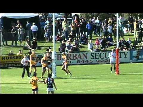 SANFL 2011 Round 13 Preview - Panthers v Eagles