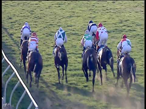 Galoppo 26/02/2019 - 3ª corsa