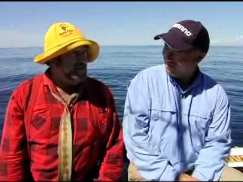 Shark Fishing with Jimmy Flynn