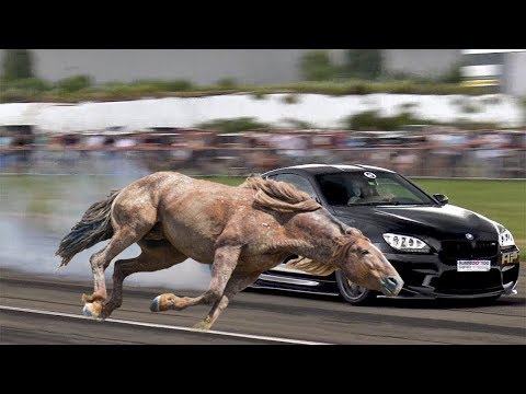 , title : 'Sizce At Mı Daha Hızlı Yoksa Araba Mı?'