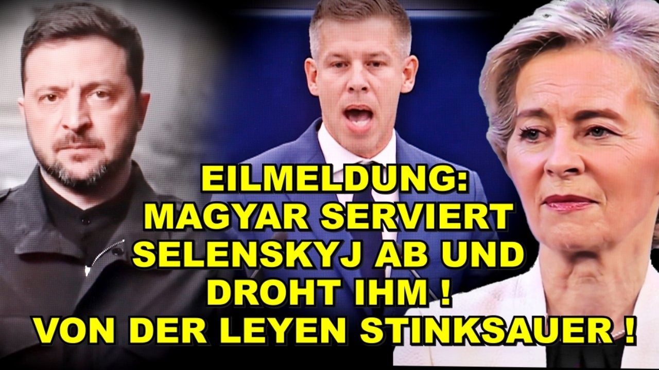 EIL: Magyar SERVIERT Selenskyj AB! EU BEBT!