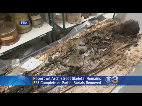 Report On Arch Street Skeletal Remains