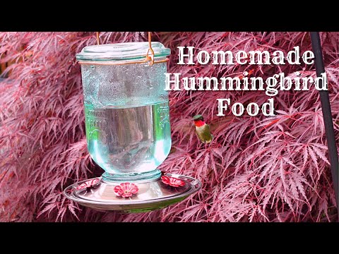 How To Make Hummingbird Nectar | Hummingbird Food Recipe | Hummingbird Video