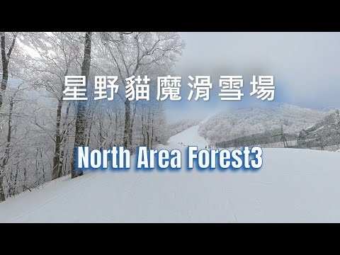 星野貓魔滑雪場 NEKOMA Mountain 北區森林3滑道 2026