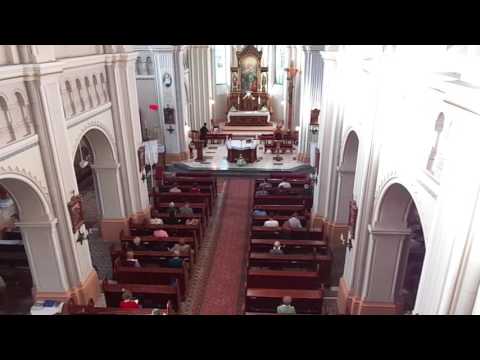 JKS 353 - Ó, čisté srdce Márie