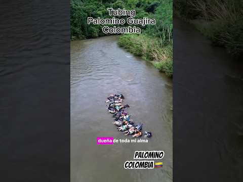 #tubing en la #guajira #palomino #colombia #neumático #river #río #evanritz #composer #singer #pop