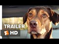 A Dog's Way Home International Trailer #1 (2019) | Movieclips Trailers