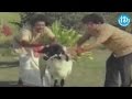Pottelu Punnamma Movie Allu Rama Lingaiah Nice Funny Comedy Scene