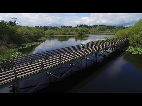 Drone Flyovers of Victoria
