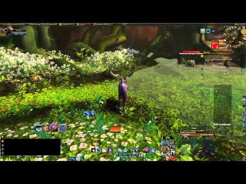 WOW Treasure - Discarded Pack - Gorgrond