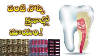 Download lagu Teeth pain (Panti noppi vapu) treatment in allopathic in Telugu l best medicine mp3 Download lagu Teeth pain (Panti noppi vapu) treatment in allopathic in Telugu l best medicine mp3