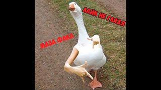 Лучшие приколы 2018 август угарное видео ПРИКОЛ! До слез