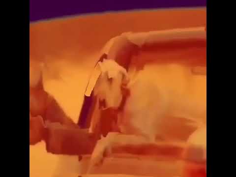 140. Deergod Instagram Video - Untitled [11.03.2020]