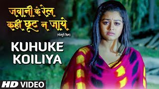KUHUKE KOILIYA  New Bhojpuri Sad Video Song 2019  