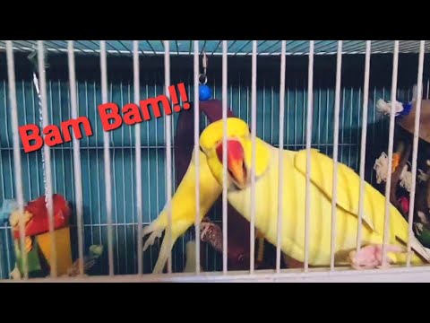 The Long Awaited Full Sharyn Zoo Tour Of All The Kids!