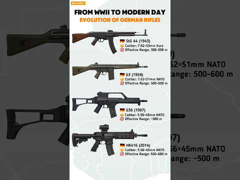 StG 44 to HK416: Evolution of German Assault Rifles 🇩🇪⚡ #shorts