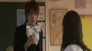 Butterflies Don&#39;t Lie