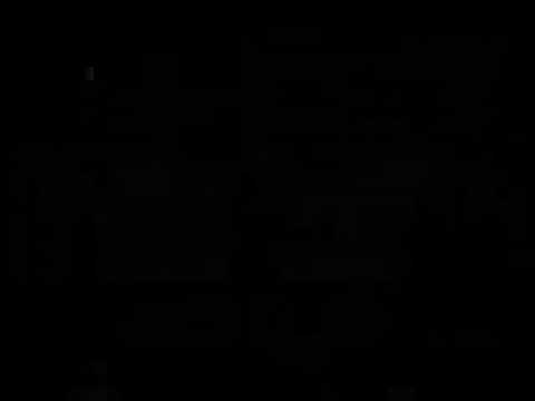 Paulão bueno Vs. Pelézinho