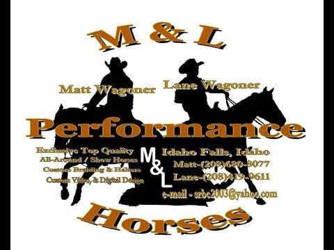 M&L Performance Horses 2018 NRHA Futurity Project Trailer