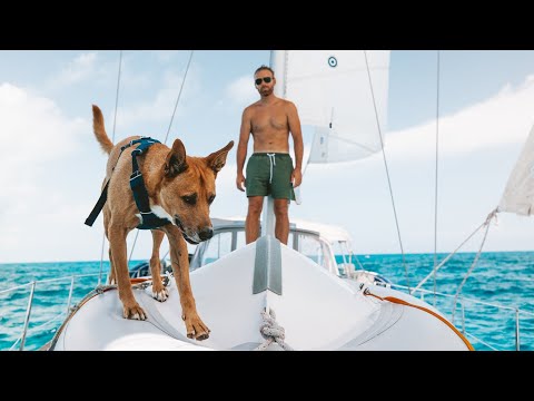 Going Back (it's been fun!) | EE 98