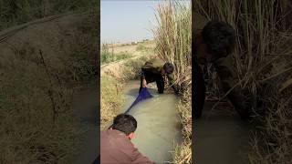 Download lagu viral 💯🎣😜😝🤯🇵🇸🇦🇫🇺🇸🤡👻 like subscribe share comment @ChuChuTV @SouthActionMovies2026 mp3 Download lagu viral 💯🎣😜😝🤯🇵🇸🇦🇫🇺🇸🤡👻 like subscribe share comment @ChuChuTV @SouthActionMovies2026 mp3