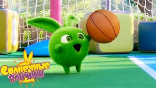 Баскетбольные трюки! | Солнечные зайчики | Мультфильмы для детей | WildBrain Россия